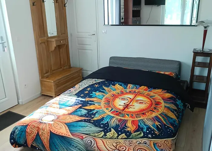 Quartier Hopital Et Universite דירה לה מאנש